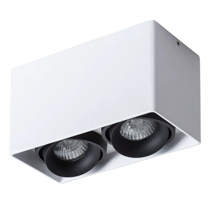 Точечный накладной светильник Arte Lamp PICTOR A5654PL-2WH